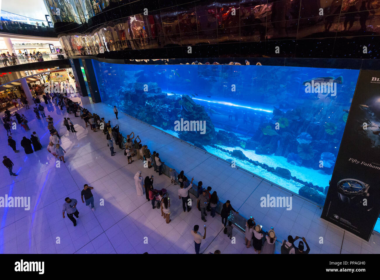 Dubai Mall Aquarium Stock Photo