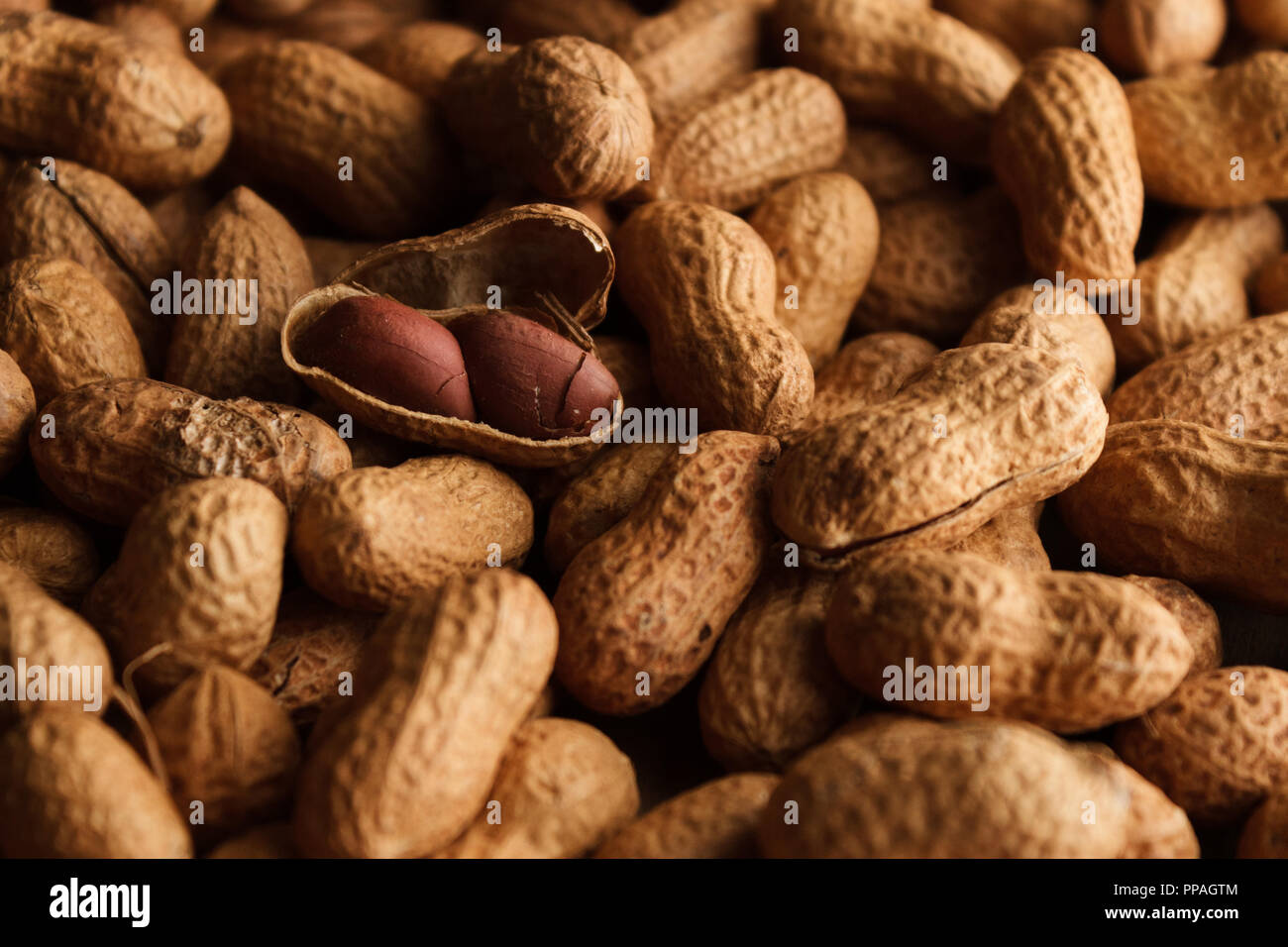 Unpeeled peanuts filling the frame; an opened peanut is the spotlight of the composition. Selective focus. Stock Photo