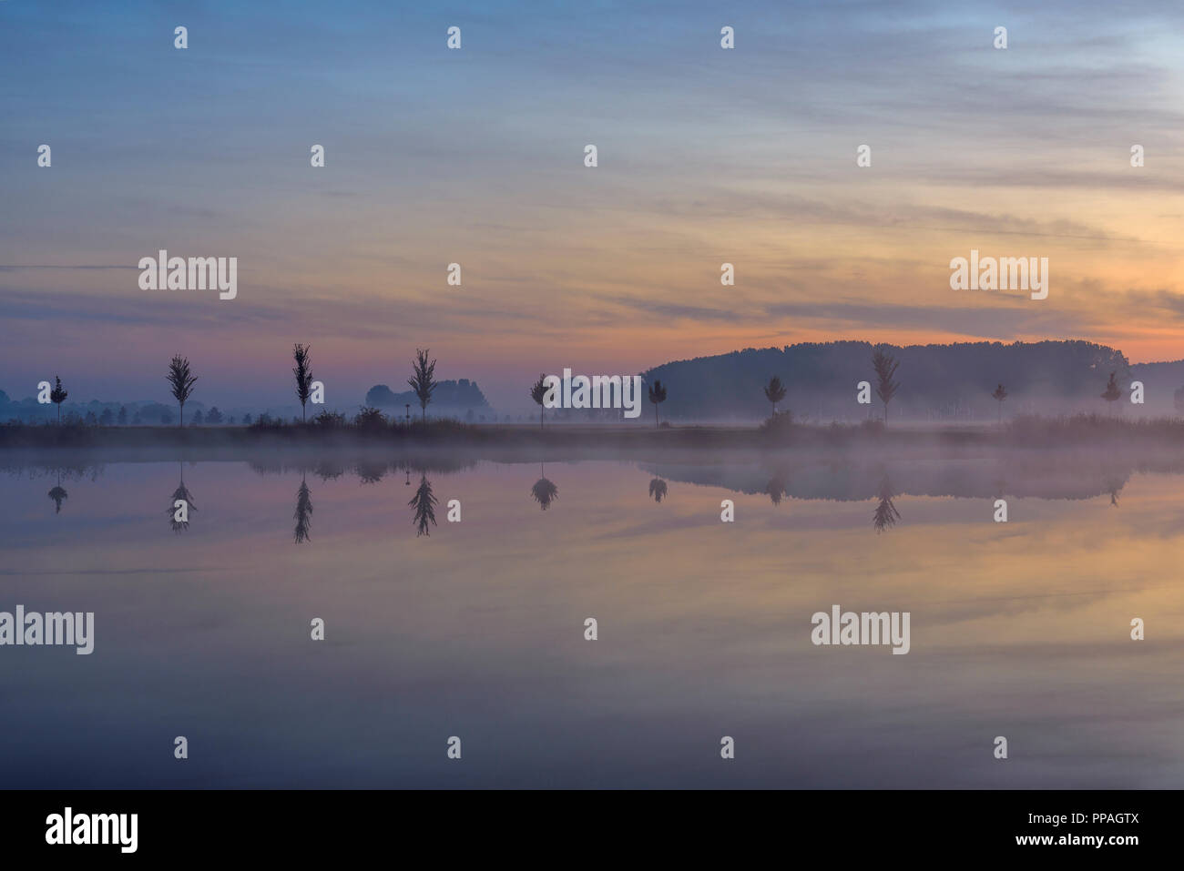 Landscape with Row of Trees Reflecting in Lake at Dawn, Drei Gleichen, Ilm District, Thuringia, Germany Stock Photo