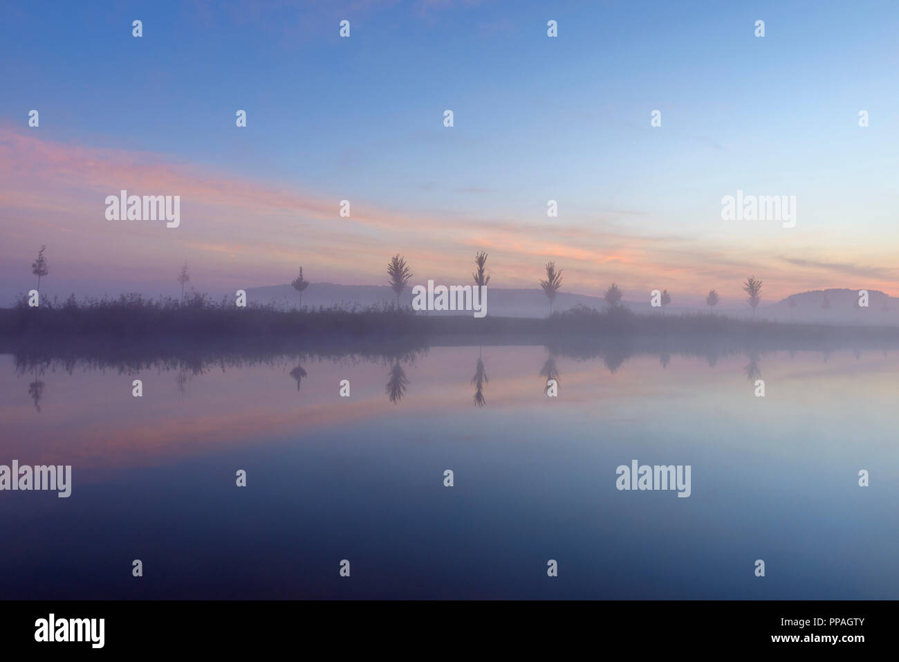 Landscape with Row of Trees Reflecting in Lake at Dawn with Morning Mist, Drei Gleichen, Ilm District, Thuringia, Germany Stock Photo
