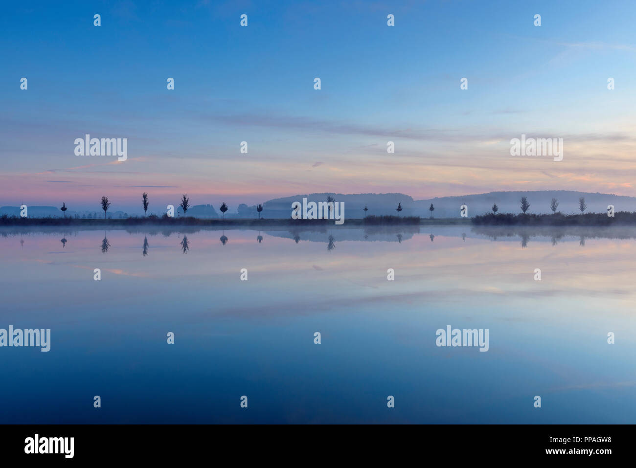 Landscape with Row of Trees Reflecting in Lake at Dawn, Drei Gleichen, Ilm District, Thuringia, Germany Stock Photo