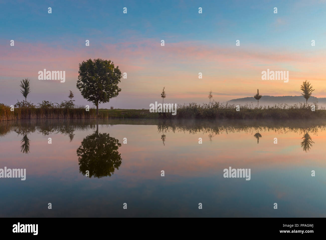 Landscape with Trees Reflecting in Lake at Dawn, Drei Gleichen, Ilm District, Thuringia, Germany Stock Photo