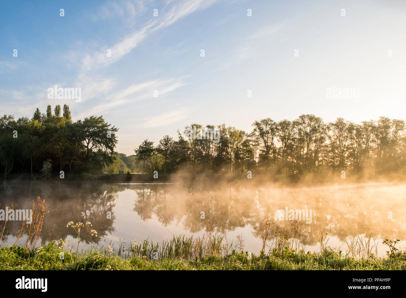 Misty river at dawn in the Nottinghamshire countryside. Landscape of mist in May on the River Trent, Colwick Country Park, Nottingham, England, UK Stock Photo
