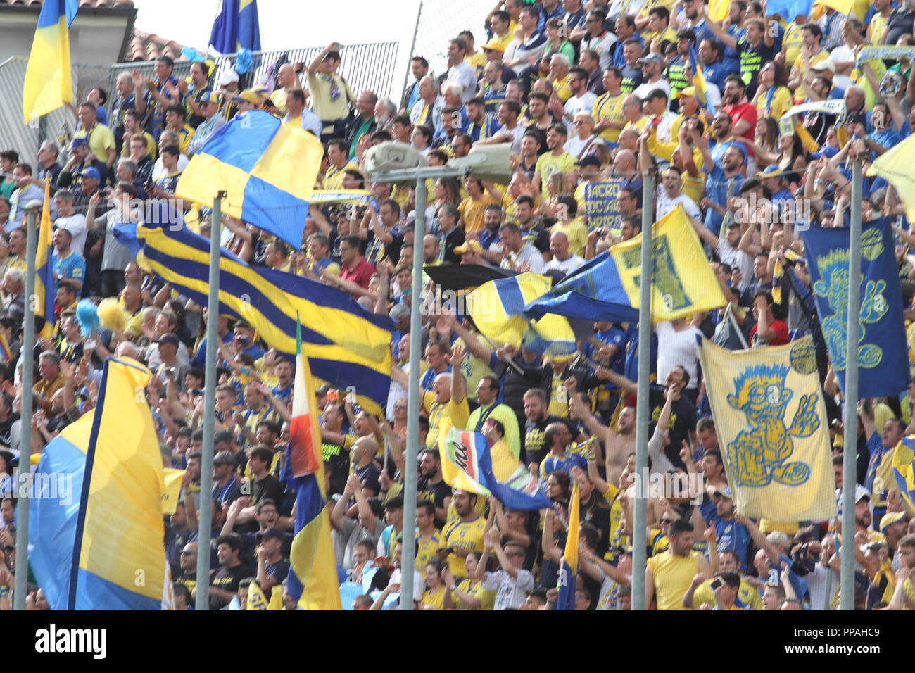 Frosinone / Italy - May 16, 2015: Canary fans at the stadium in the match that will promote the team in Serie A Stock Photo