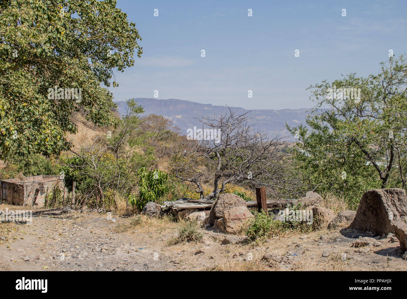 arid land where the valley of the village of tequila jalisco mexico is
