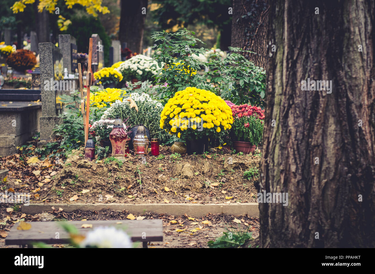 flower decorations for All Saints Day in the cemetery Stock Photo Alamy
