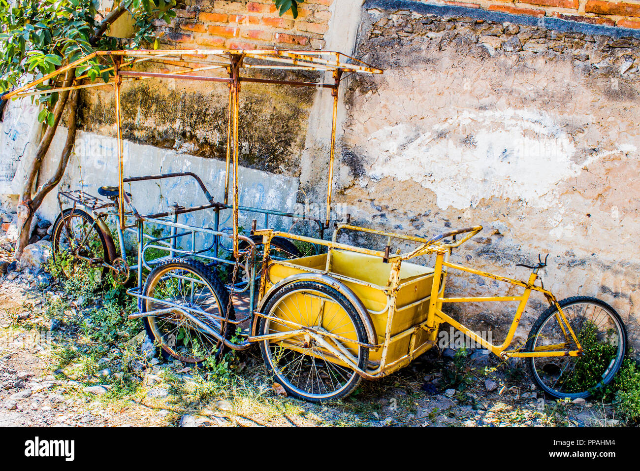 Download Yellow Cargo Bicycle High Resolution Stock Photography And Images Alamy PSD Mockup Templates