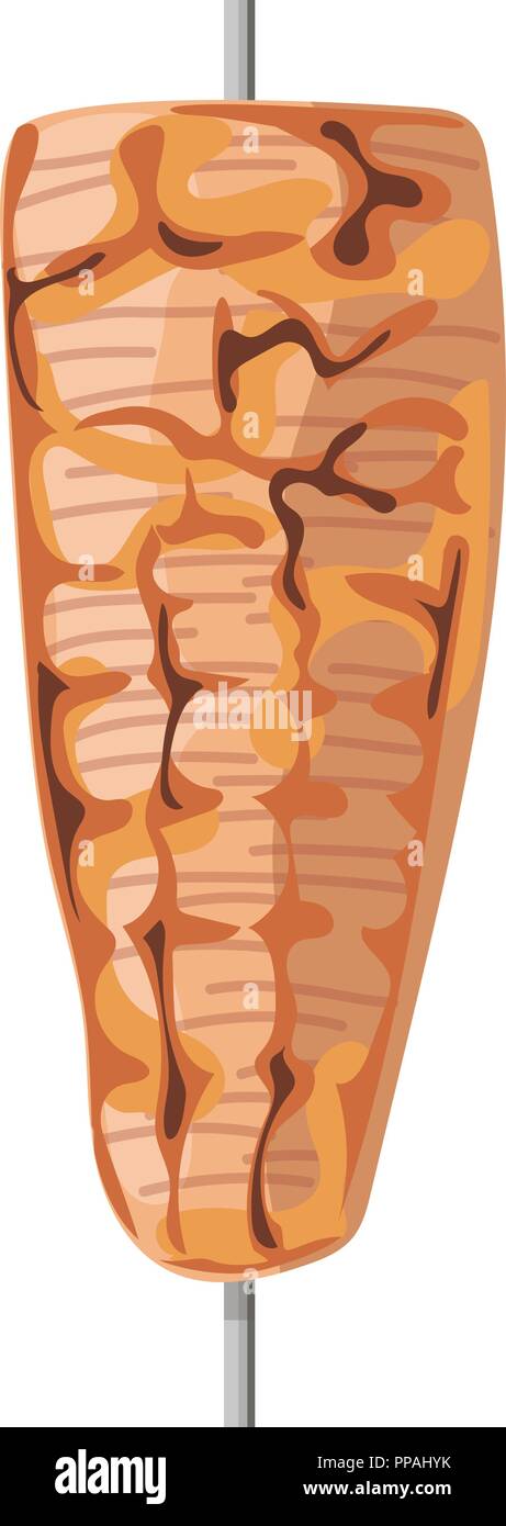 Doner Kebab Ingredients Meat Vegetables Vector Illustration Stock Vector Image Art Alamy