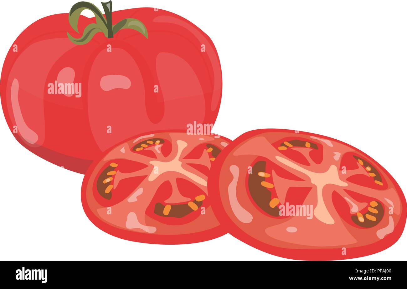 Fresh tomatoes on white background. Top view Vector illustration Stock Vector