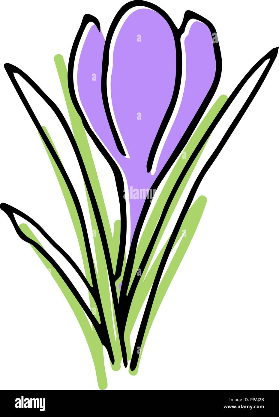 Galanthus Label Stock Vector Images Alamy