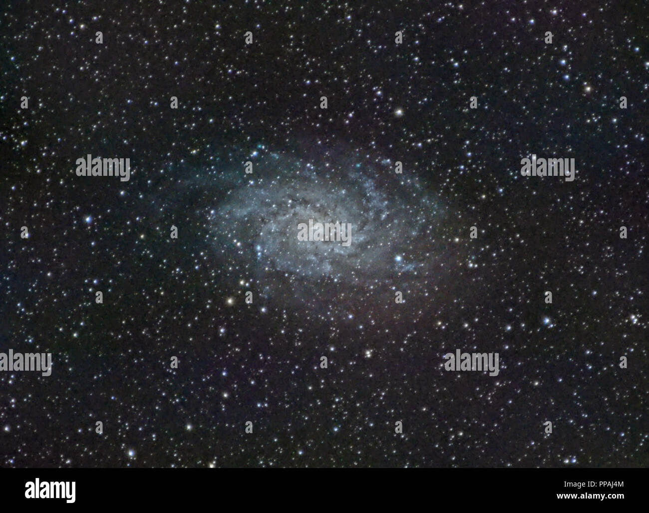 M33 galaxy from Alava in a clear summer day Stock Photo