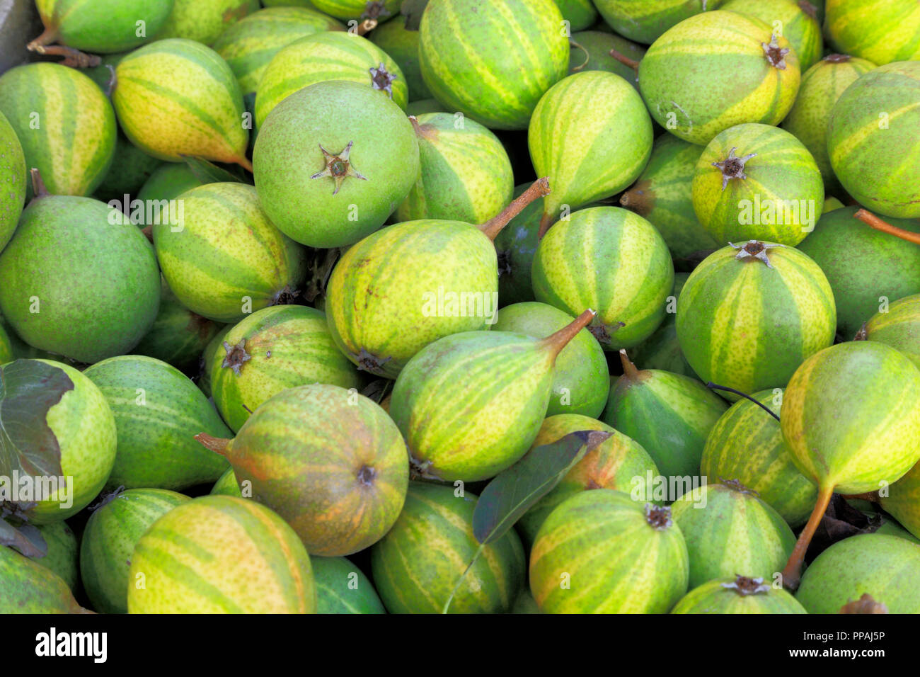 Pear, 'Humbug', pears, pyrus, farm shop display, fruit, edible Stock Photo