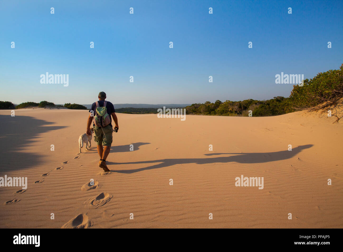 TOUR GUIDE walks along the coastal dunes of Dovela with his dog ...