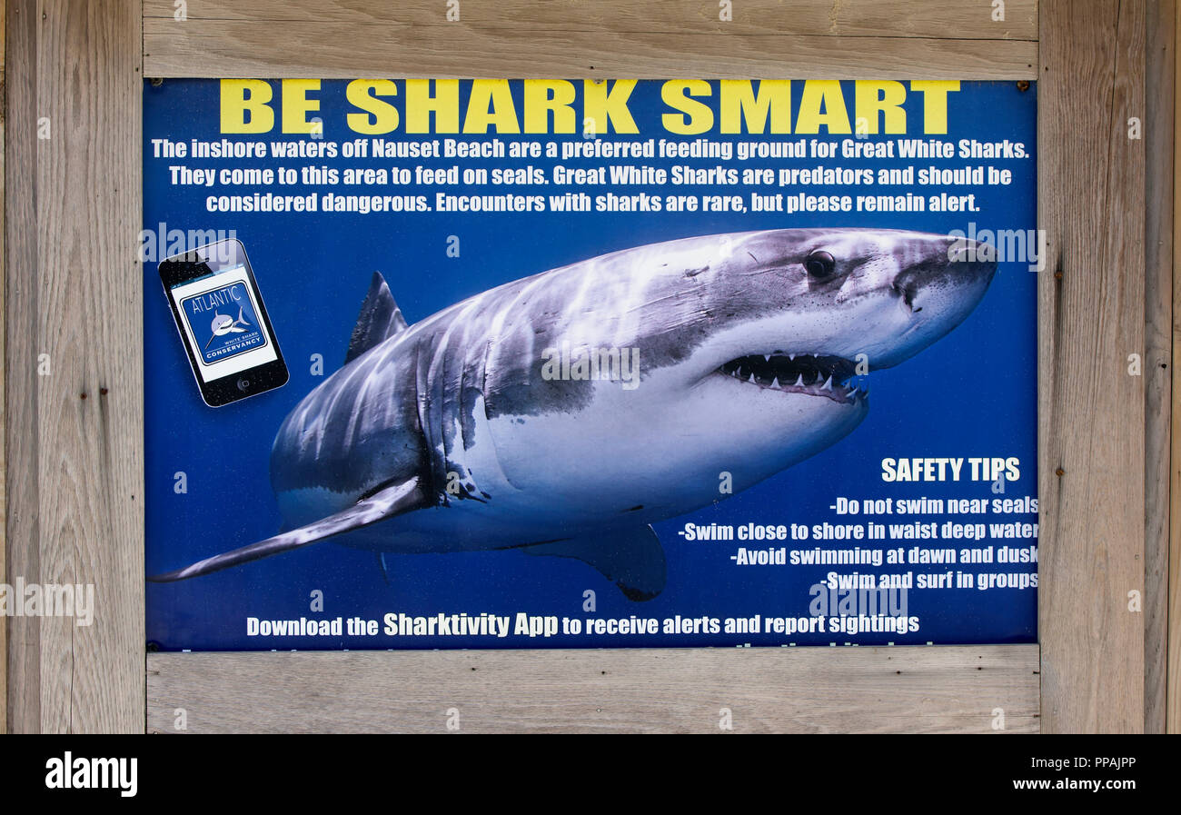 Sign with shark hi-res stock photography and images - Alamy