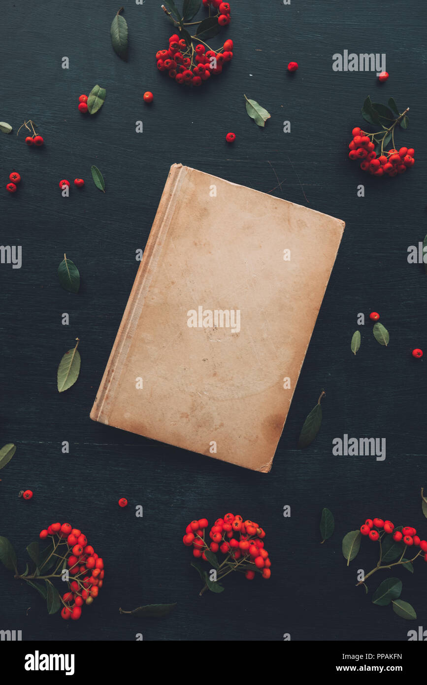 Flat lay vintage hardcover book, top view with wild berry fruit decorative arrangement Stock Photo
