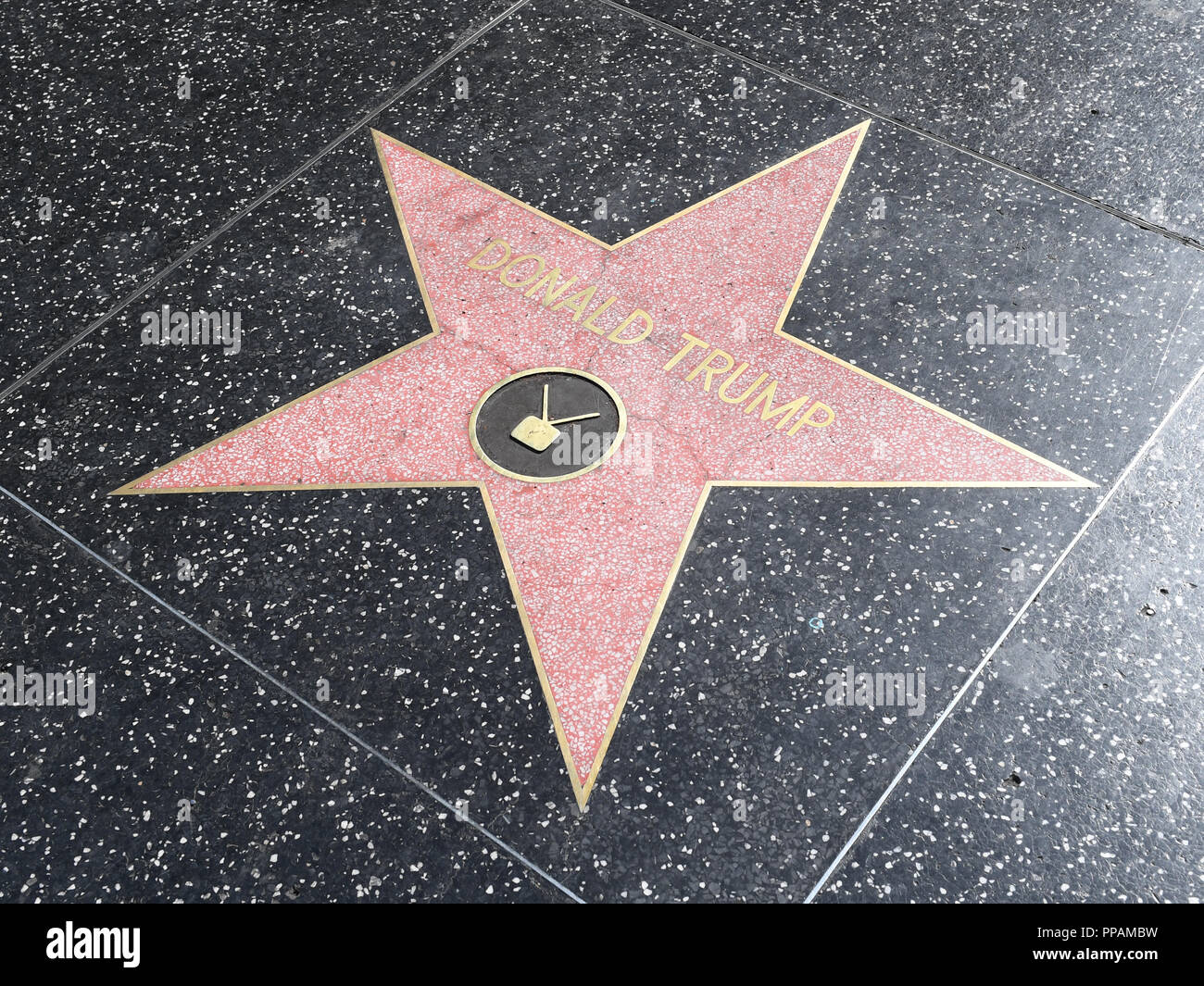 Donald Trump Star on the Hollywood Walk of Fame, Hollywood, California Stock Photo