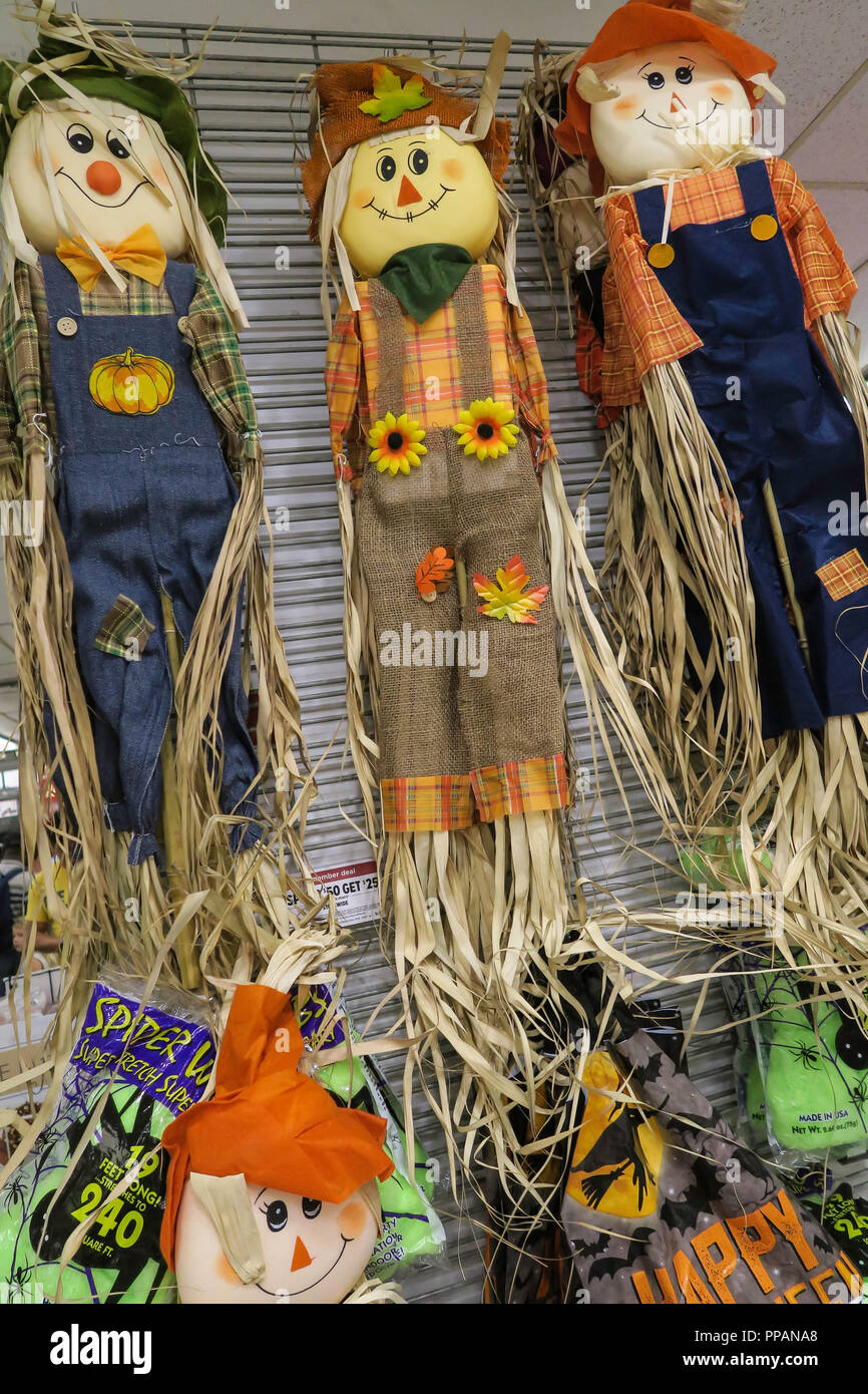 Fall Decorations, USA Stock Photo Alamy