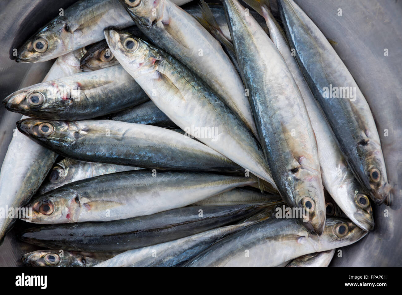 Fish Marketing High Resolution Stock Photography and Images - Alamy