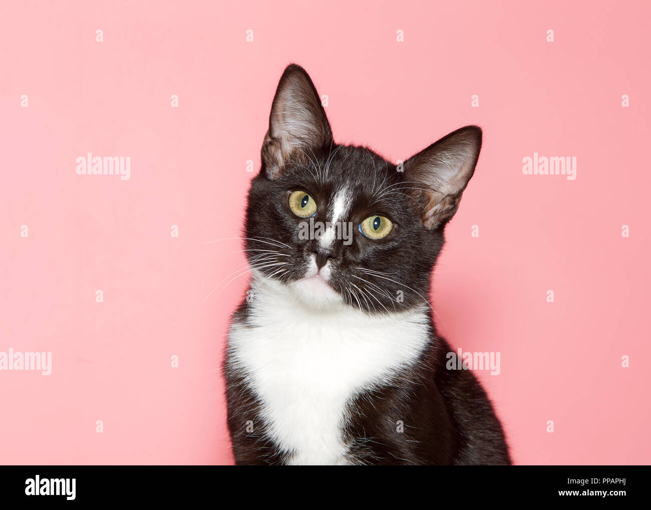 Head tilted hires stock photography and images Alamy