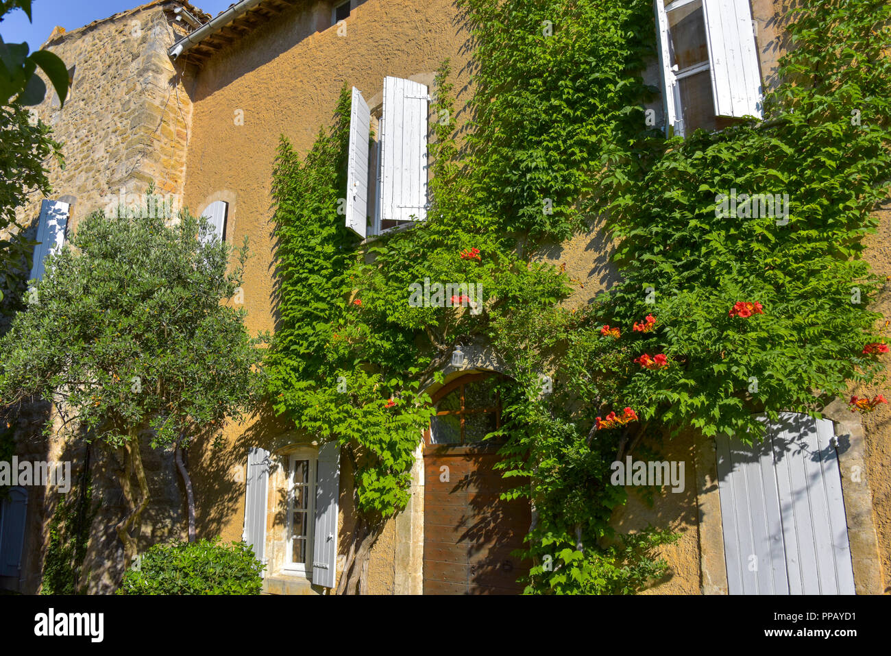 green overgrown house in the village Ménerbes in the Provence, France, situated on a hill, department Vaucluse, Luberon mountains Stock Photo