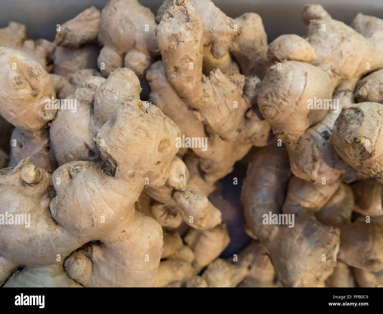 A lot of Ginger Root Stock Photo