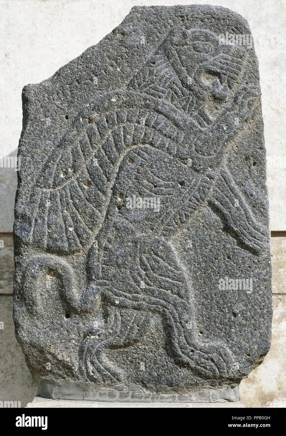 Antiquities Oriental. Aramaean relief. Basalt bas-relief. Winged Lion10th century BC. National Museum. Aleppo. Syria. Stock Photo