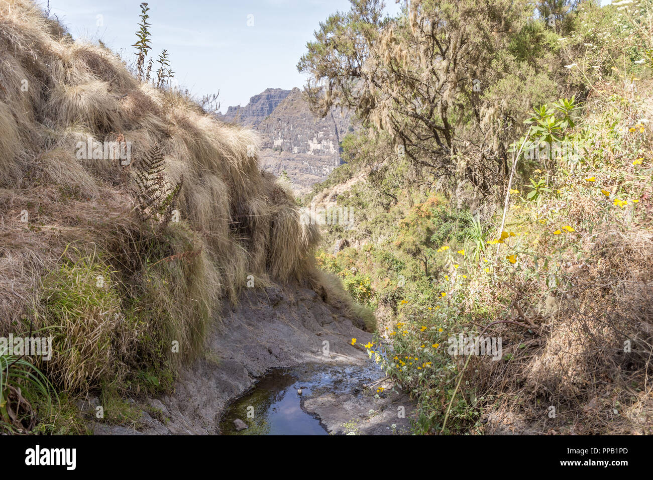 Stream, Simiens National Park, Ethiopia views Stock Photo