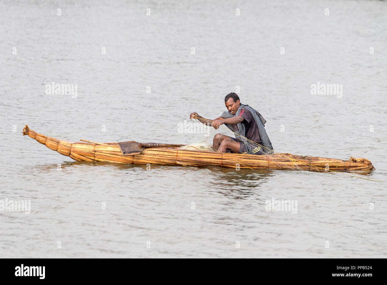 Fisherman in papyrus boat, Lake Tana, Bahir Dar, Ethiopia Stock Photo
