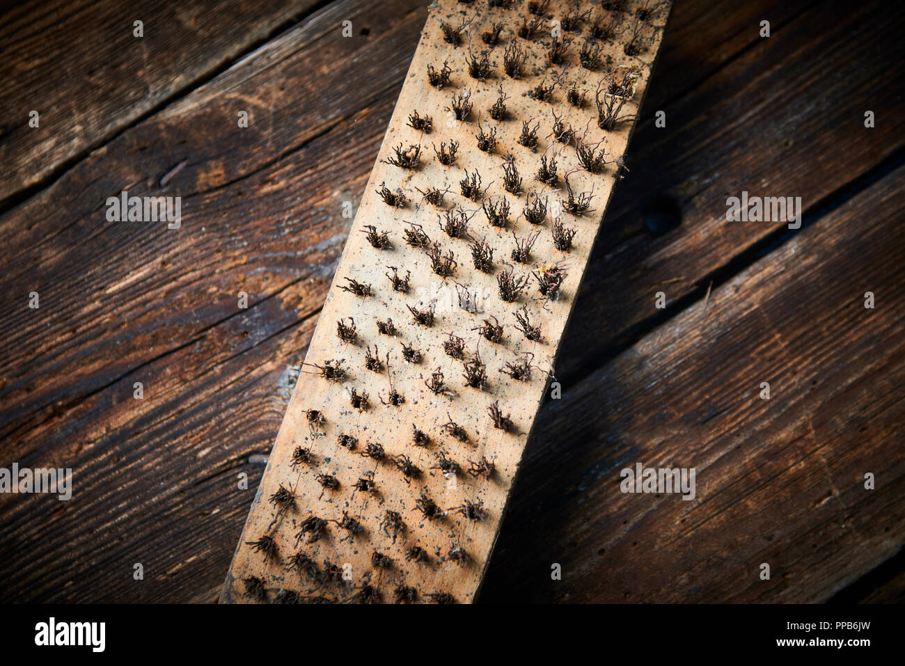 Rusty steel brush close up. Selective focus Stock Photo