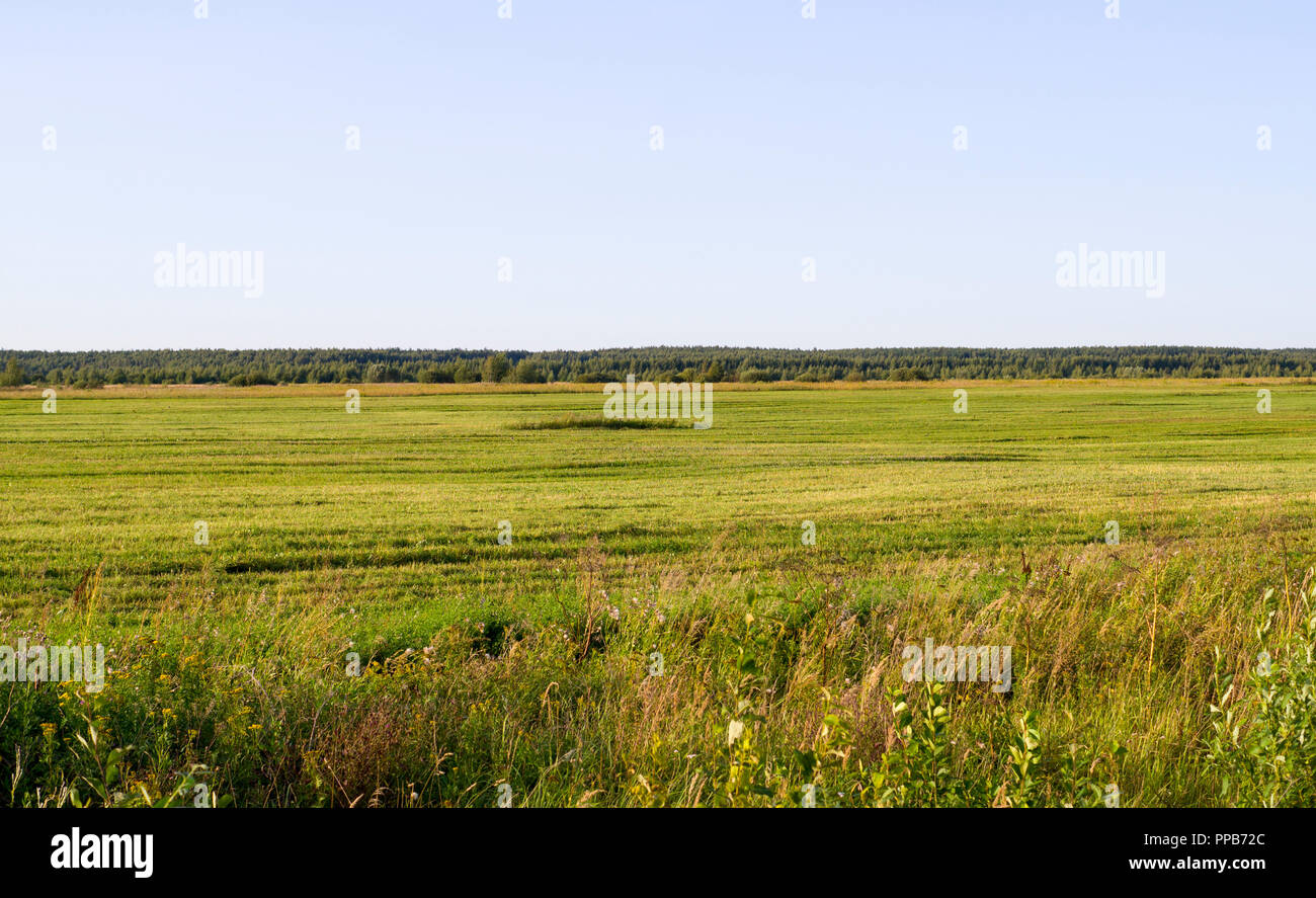 Plain season hi-res stock photography and images - Alamy