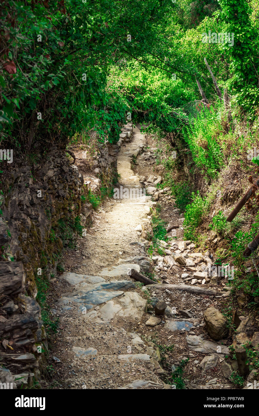 Plant tunnel hi-res stock photography and images - Alamy