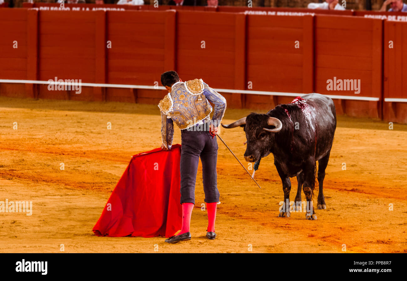 Torrerro Bullfighter torero stands hi-res stock photography and images - Alamy