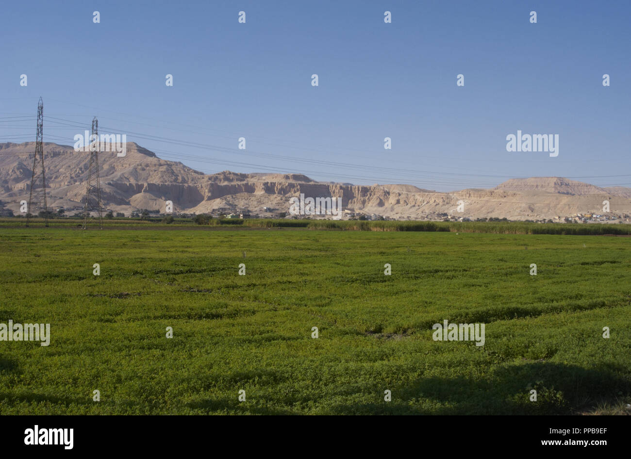 Egypt. Luxor. Agricultural area. Arid zone at the borrom Stock Photo