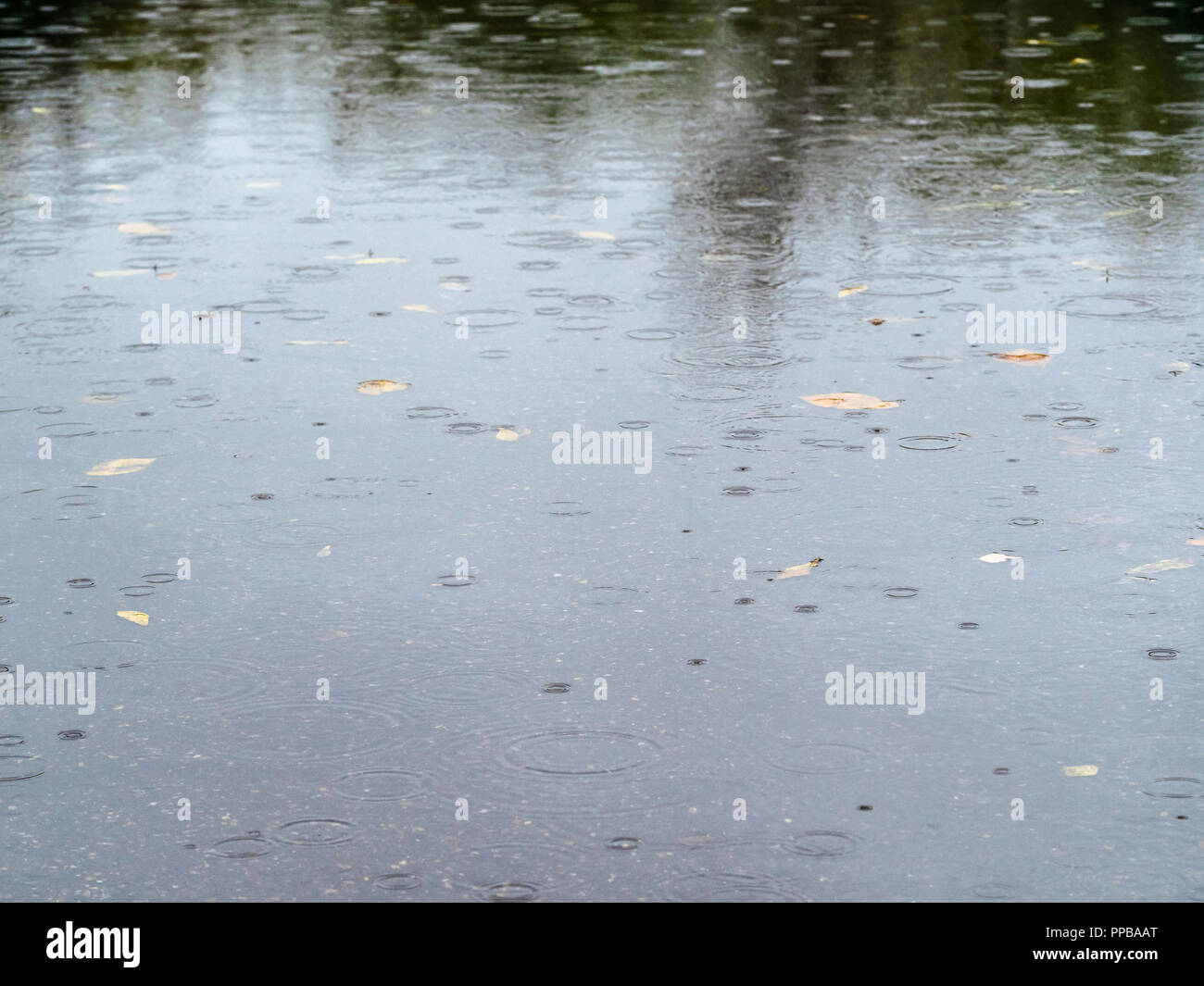 view of puddle on road puddle in autumn rain Stock Photo