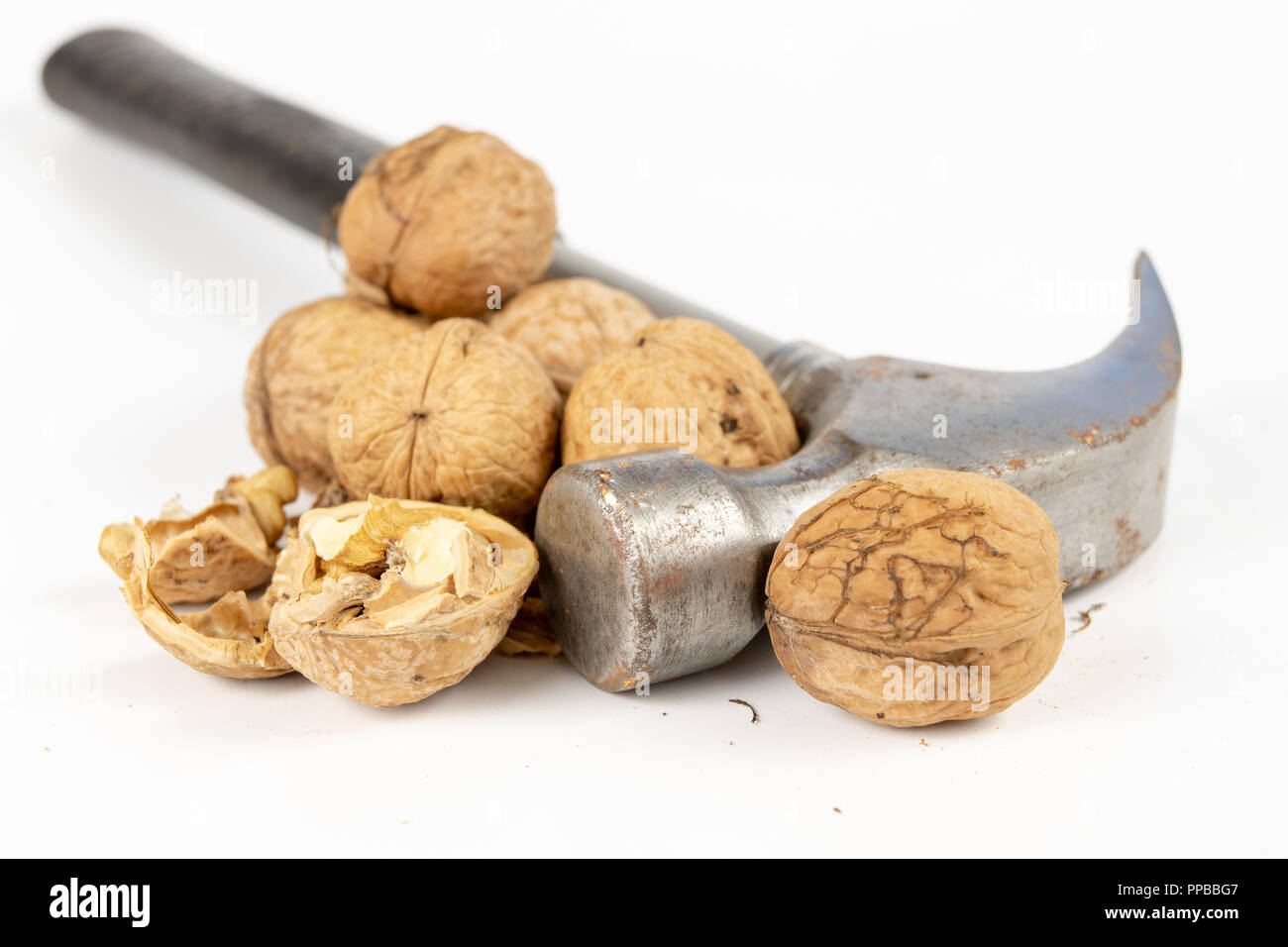 орех раскалывают молотком. молоток орех. орех и молоток. расколотый орех. бьёт орех.