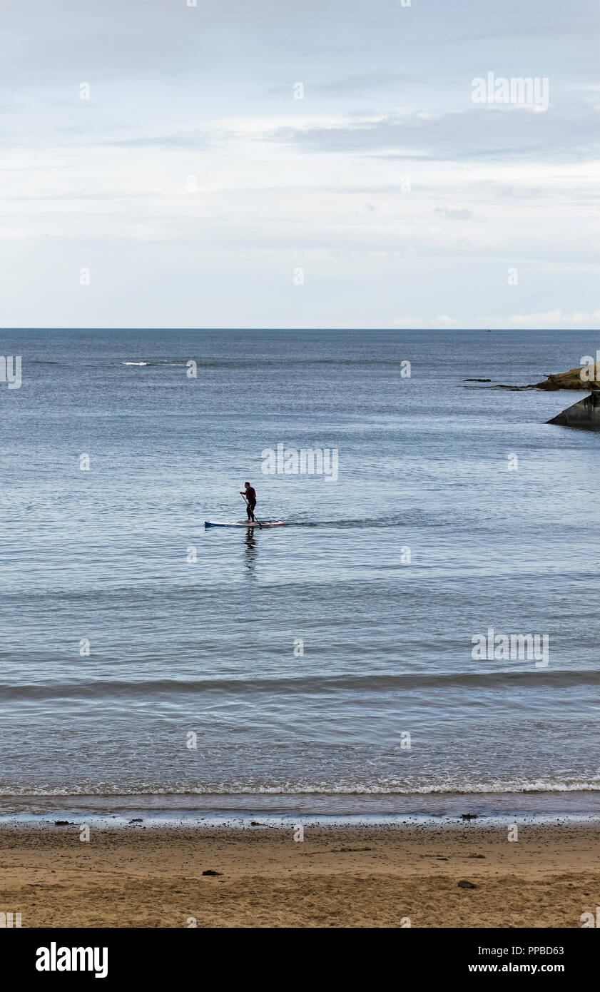 paddle boarding english bay