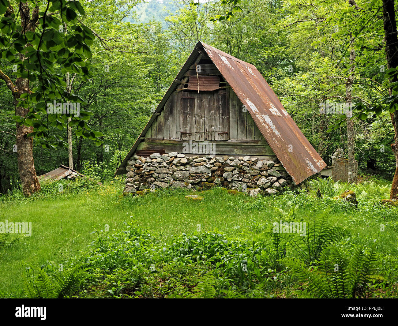 Charcoal Burners Hut Stock Photos & Charcoal Burners Hut Stock Images
