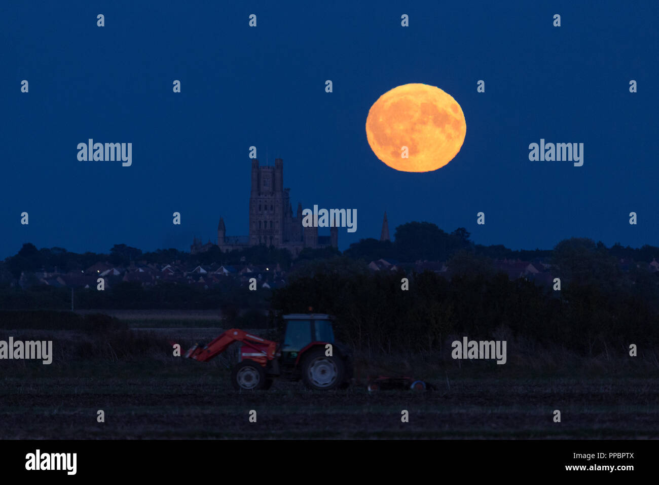 Ely, United Kingdom. 24th September 2018. Harvest moon rises behind Ely ...