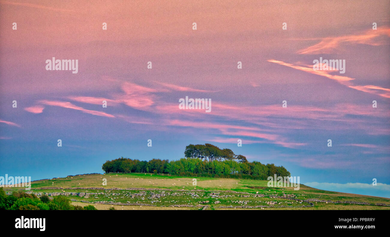 Minninglow, Peak District. 24th Sep 2018. UK Weather: Amazing sunset over Minninglow in the Peak District National Park, the clump of trees crowning the hill are Neolithic chambered tombs and Bronze Age bowl barrows Credit: Doug Blane/Alamy Live News Stock Photo