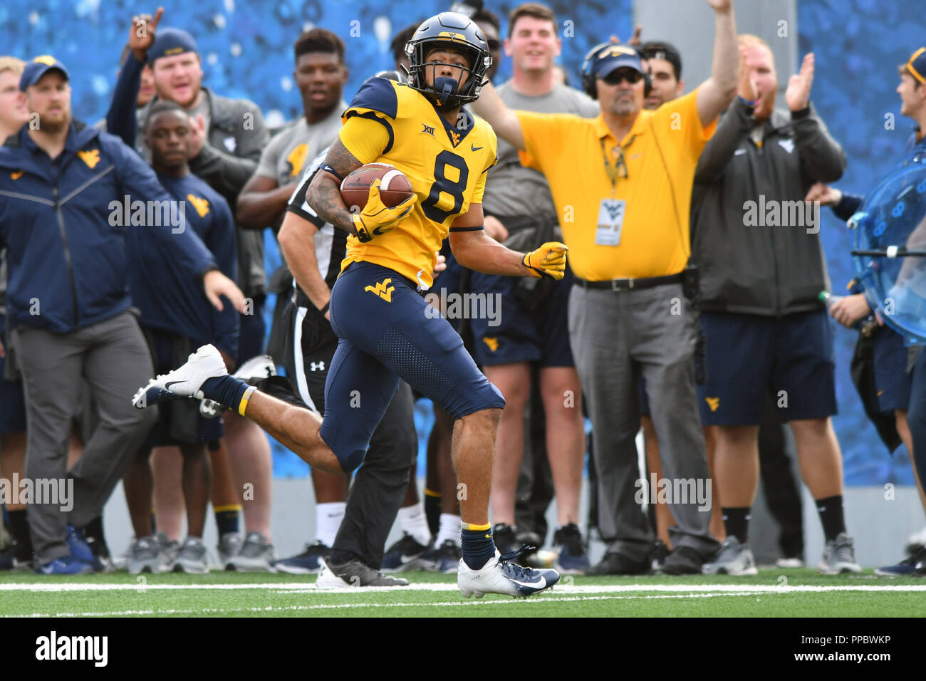 Morgantown, West Virginia, USA. 22nd Sep, 2018. West Virginia Mountaineers wide receiver MARCUS SIMMS (8) scores a touchdown during the Big 12 football game played at Mountaineer Field in Morgantown, WV. WVU beat Kansas State 35-6. Credit: Ken Inness/ZUMA Wire/Alamy Live News Stock Photo
