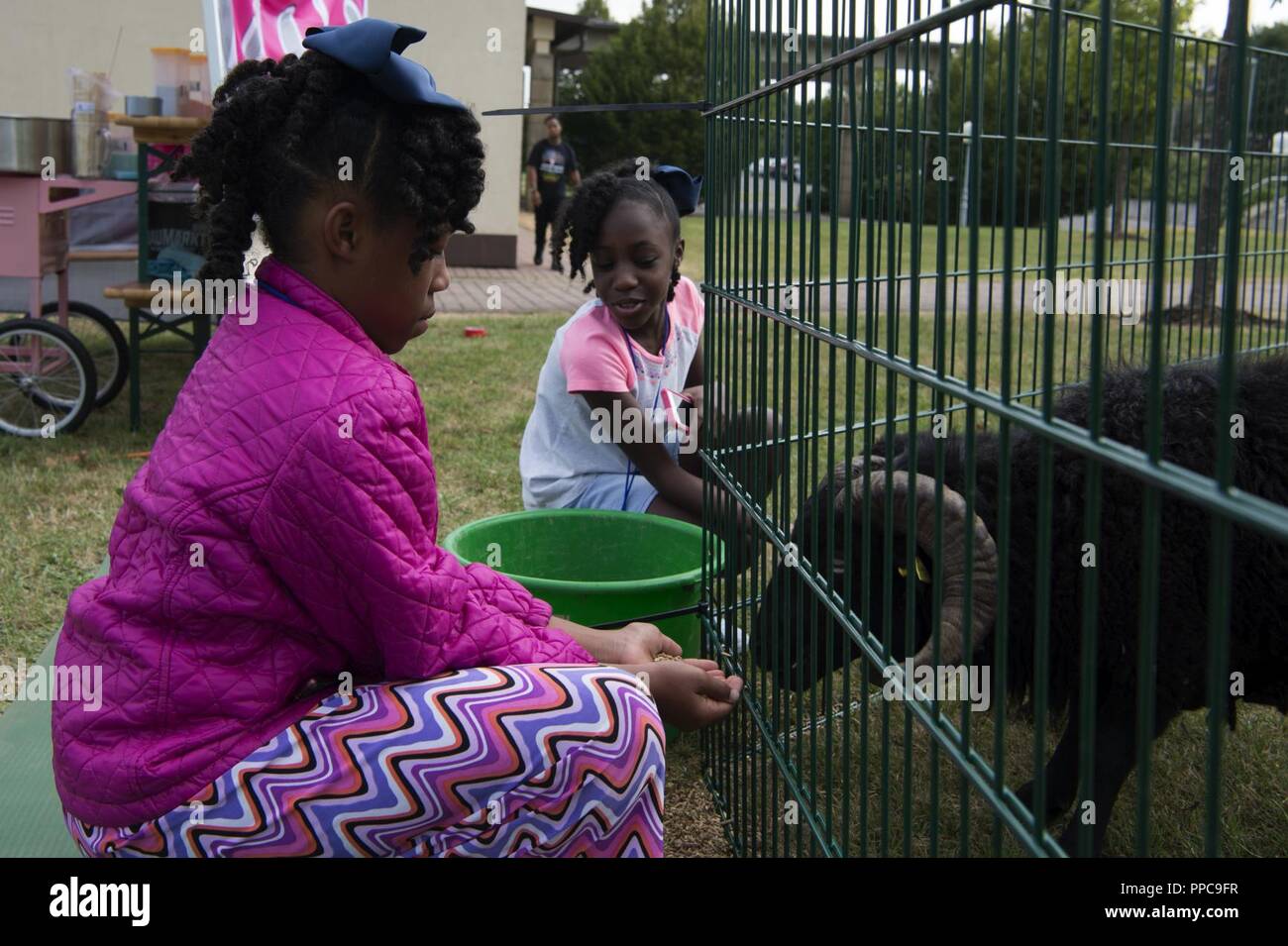 Ysabelle Thermidor, left, and Kayla Thermidor, right, children of Tech. Sgt. Melanie Thermidor, Equal Opportunity Office non-commissioned officer in charge, feed sheep at Spangdahlem Air Base, Germany, Aug. 17, 2018 during Multicultural Awareness day events. The event also featured an owl and a pettable bull. Stock Photo
