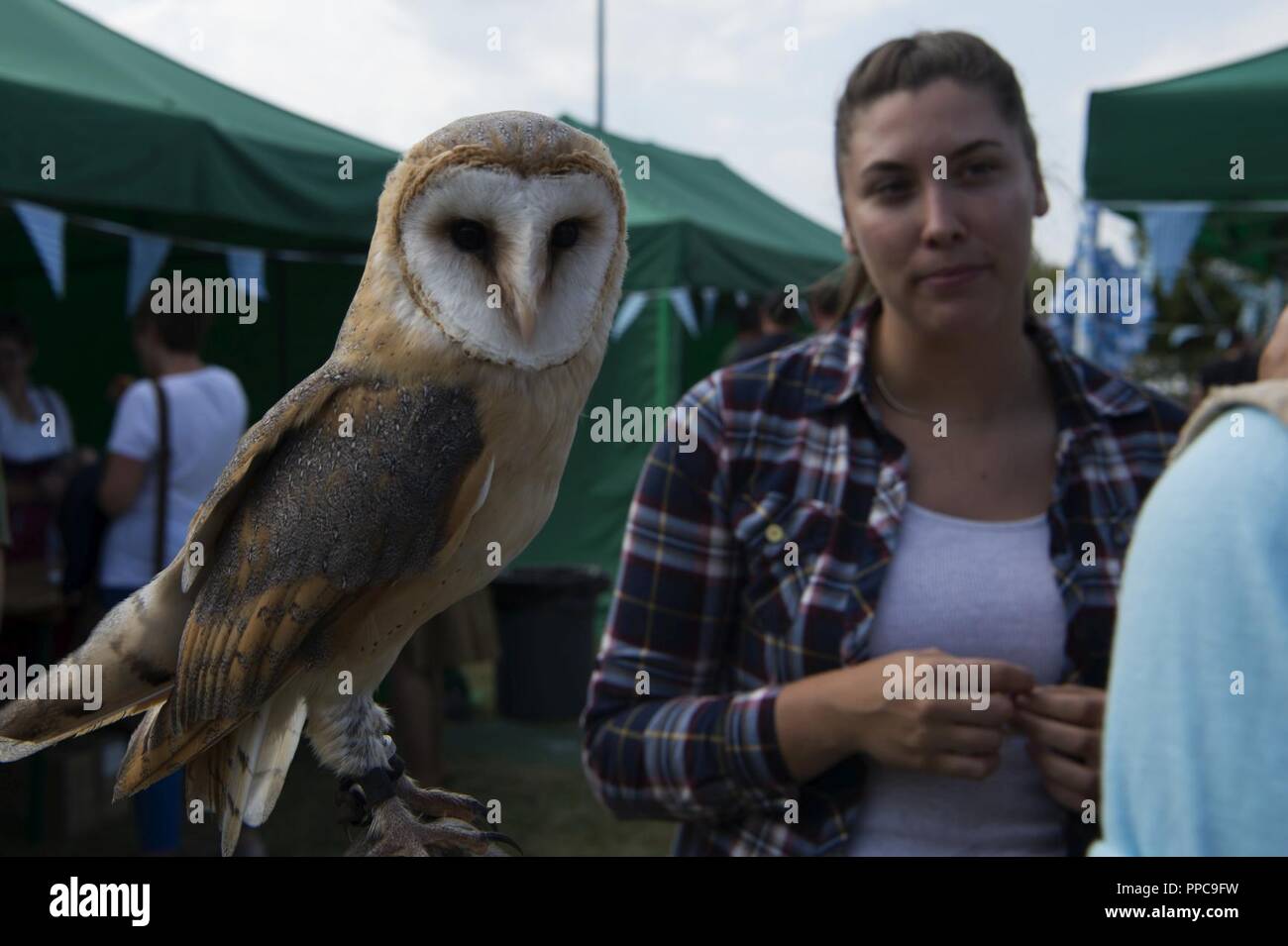 Ida the owl poses for a photo during Multicultural Awareness Day at Spangdahlem Air Base, Germany, Aug. 17, 2018. The event also featured sheep that could be fed and a pettable bull. Stock Photo