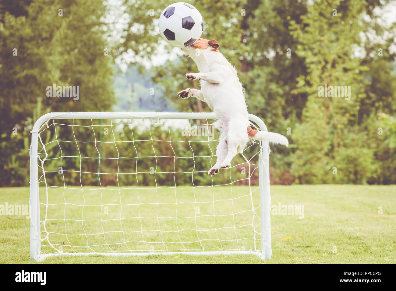 Defender Football Soccer Player Hits Ball With Head Saving Goal Stock Photo Alamy