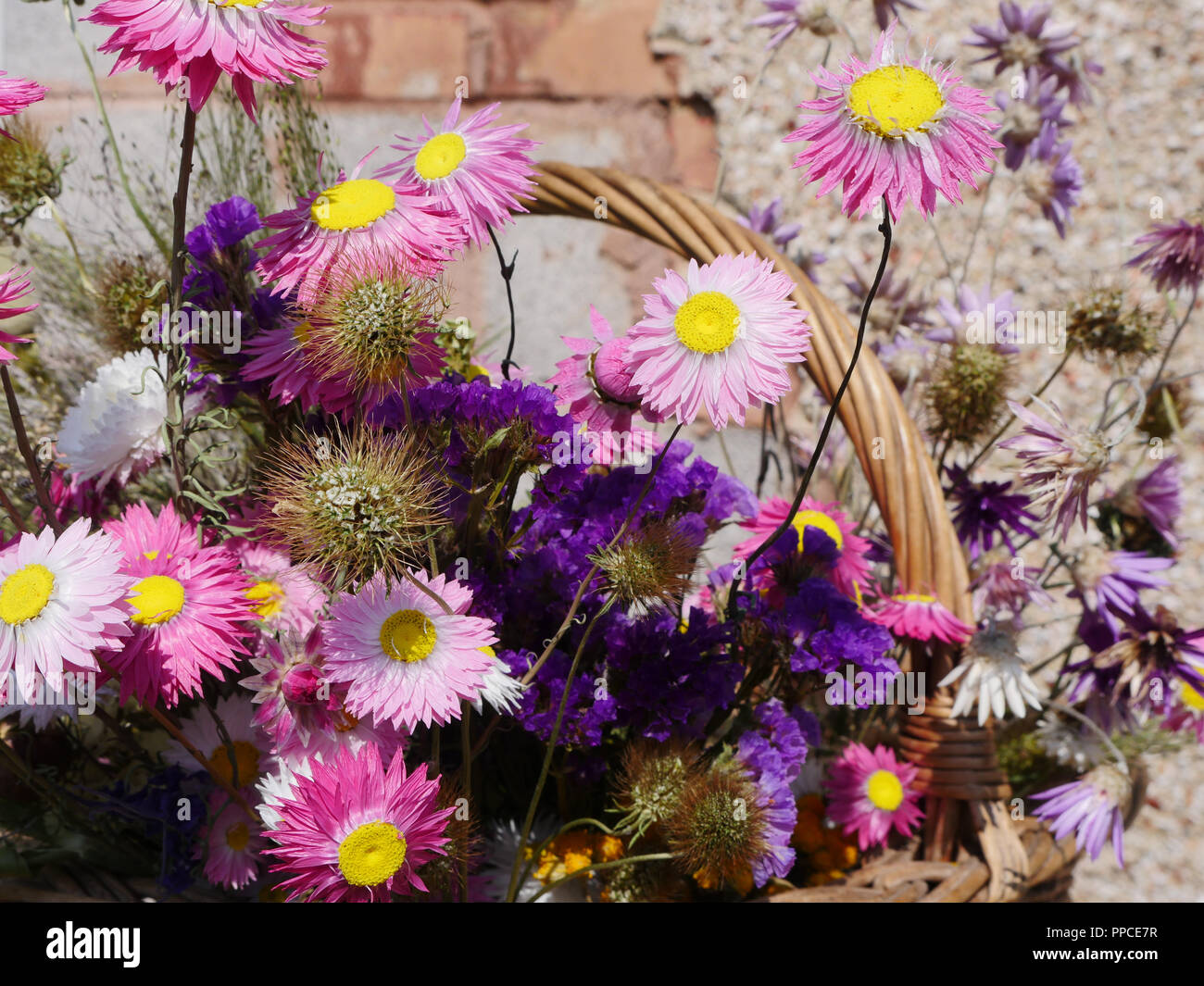 Dried flowers and grasses in basket Stock Photo Alamy
