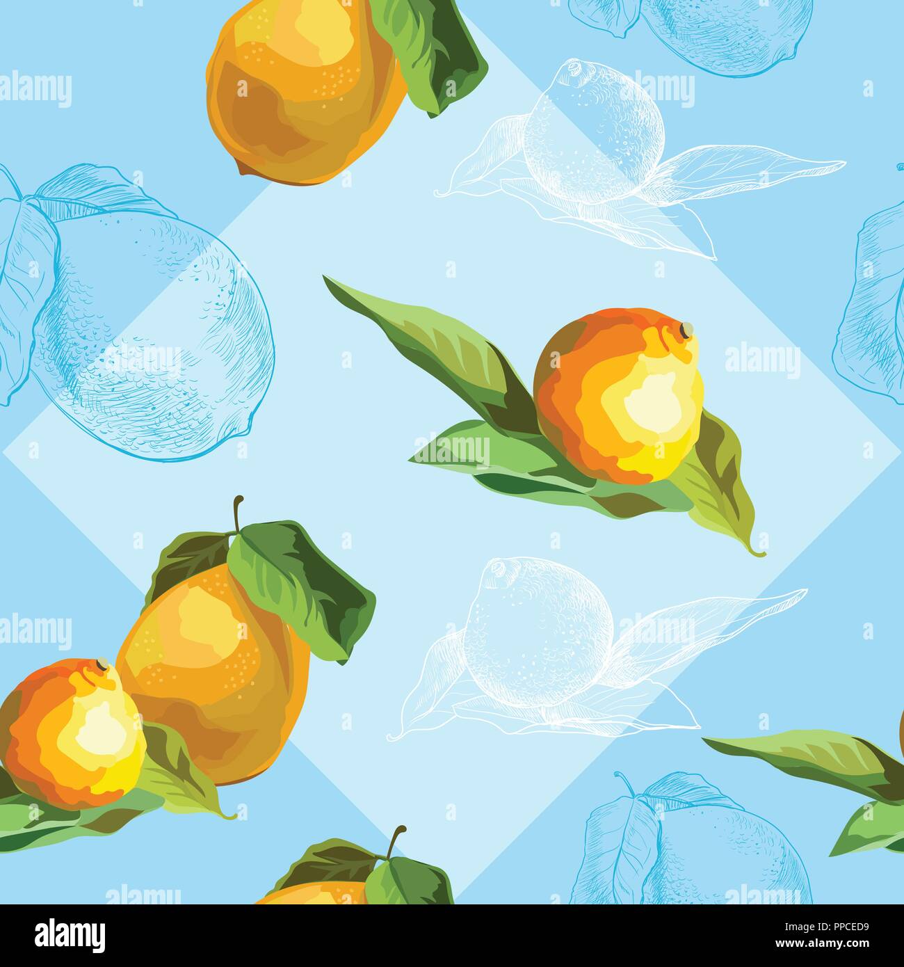 Vector colorful illustration. Seamless pattern with vector and hand drawing fruits lemon and tangerine isolated on blue background. Image for art and  Stock Vector