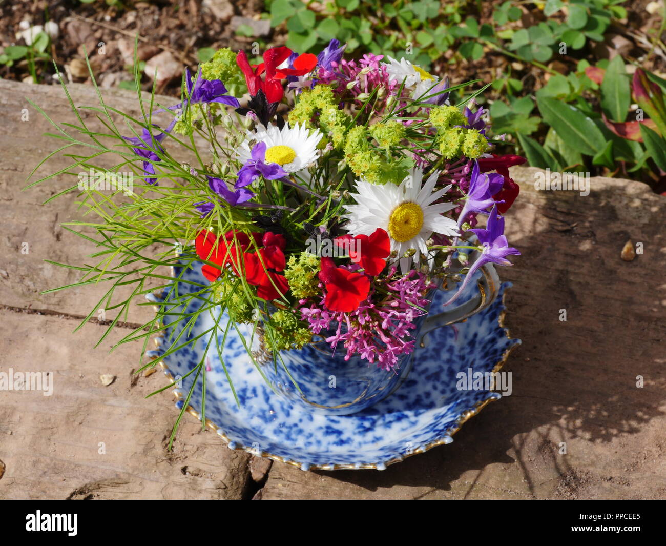teacup and saucer with flower arrangement Stock Photo Alamy