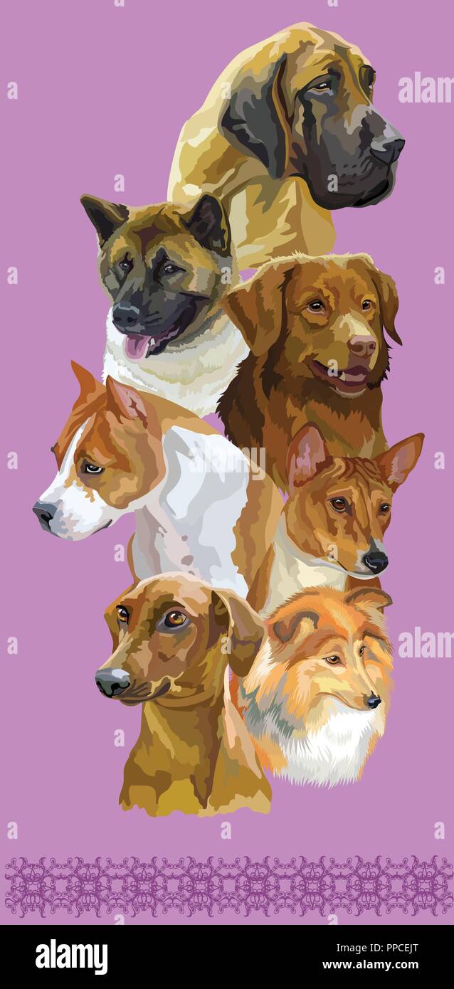 Vertical postcard with dogs of different breeds (American Staffordshire Terrier, Nova Scotia Duck Tolling Retriever, Basenj, sheltie, German Pinscher, Stock Vector