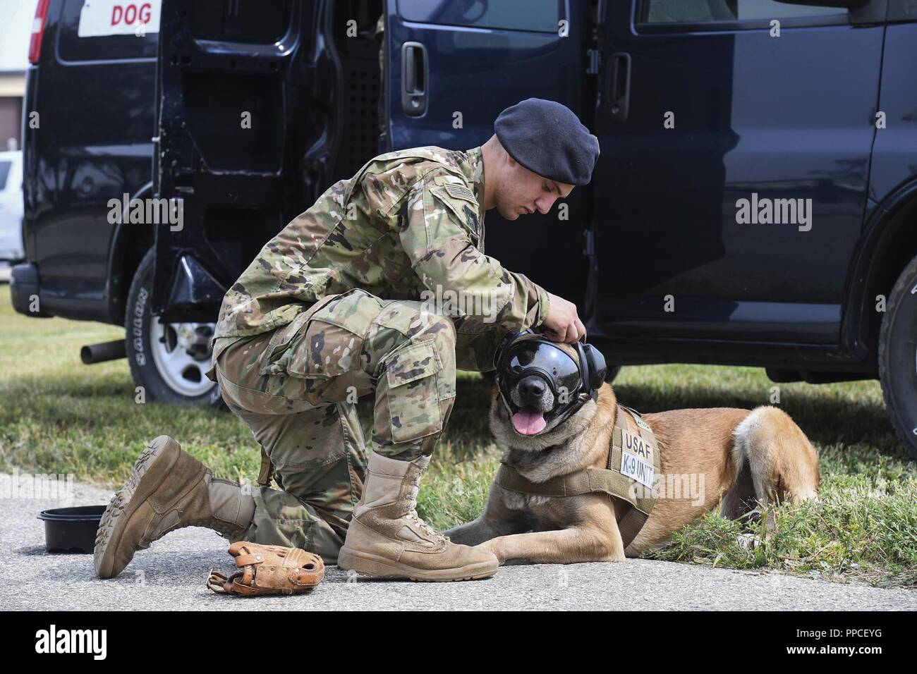 k9 handler equipment