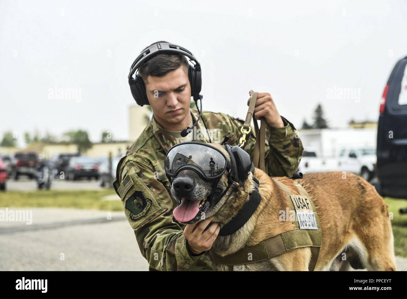 k9 handler equipment