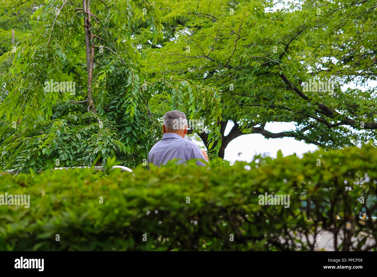 An old man sitting in a public park Stock Photo